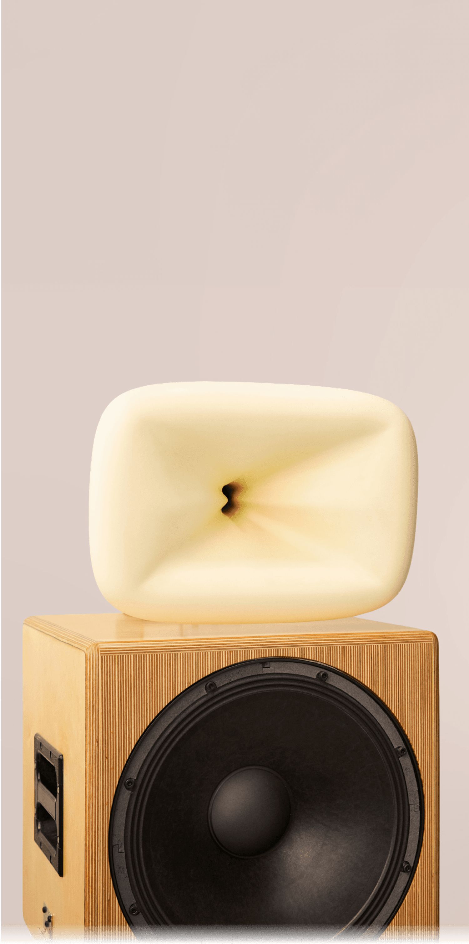 Sound + Color Sunshine system in birch plywood — woofer and Rx-Shape horn