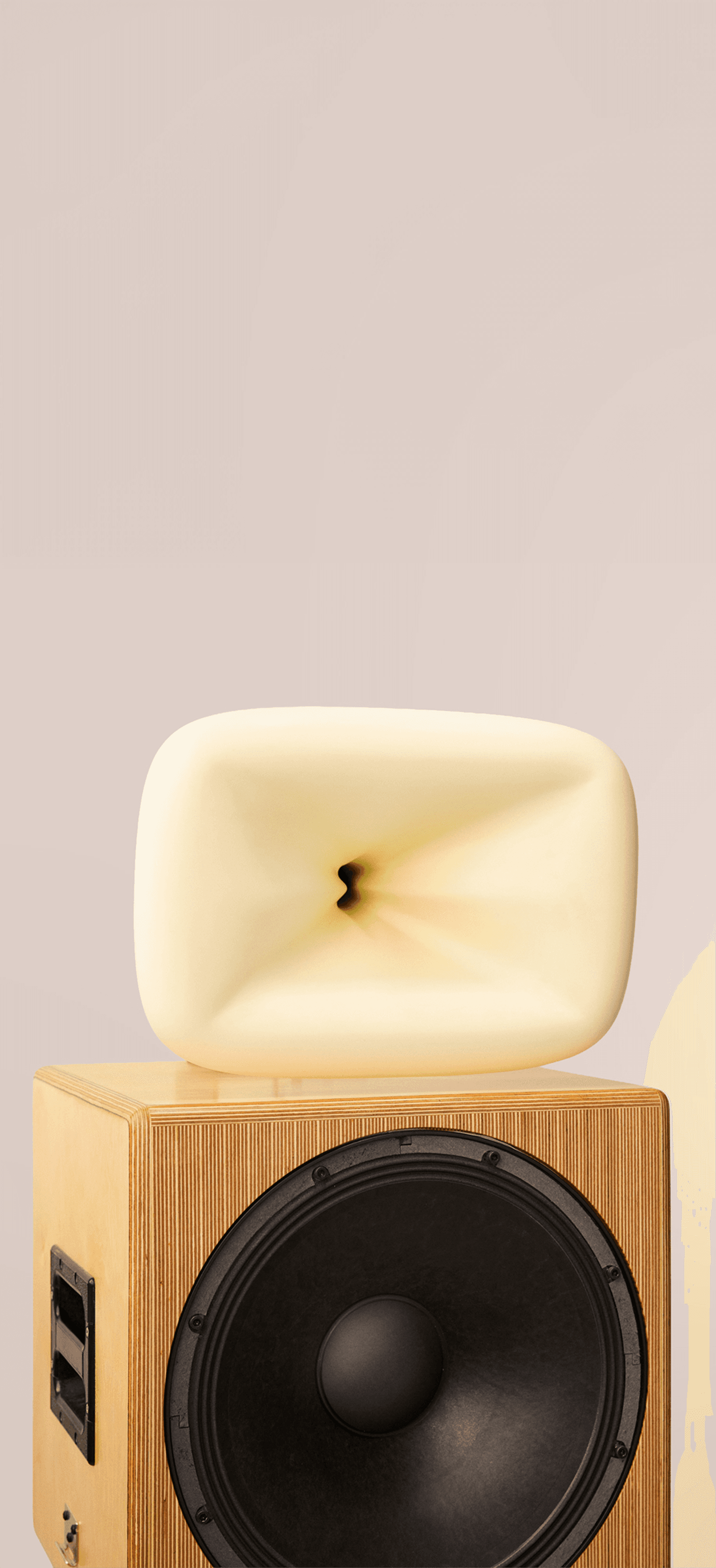 Sound + Color Sunshine system in birch plywood — woofer and Rx-Shape horn